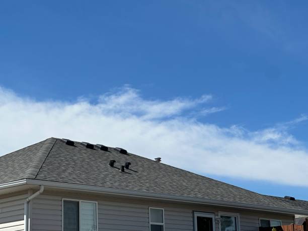 Best Emergency Roof Repair Services  in Indian Lake, MO